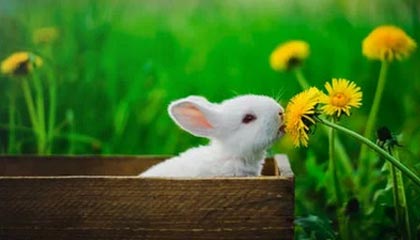 开云官网-赫塔费主场1-2不敌皇家社会，遗憾落败，赫塔费vs皇家社会